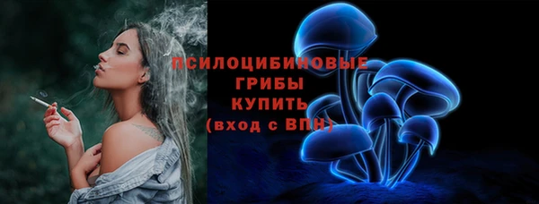 ГАЛЛЮЦИНОГЕННЫЕ ГРИБЫ Аркадак