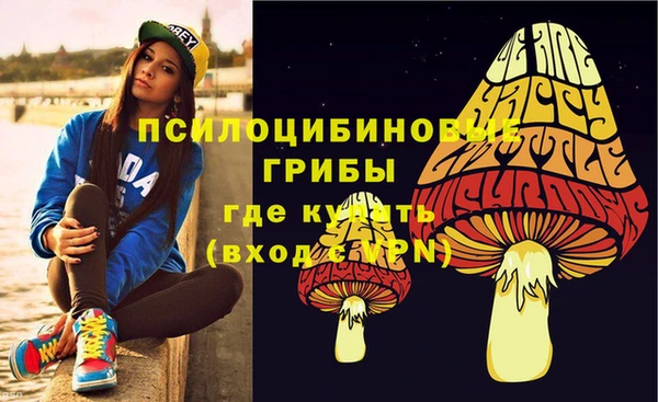 ГАЛЛЮЦИНОГЕННЫЕ ГРИБЫ Аркадак
