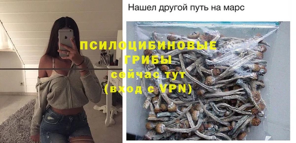 амф Арсеньев
