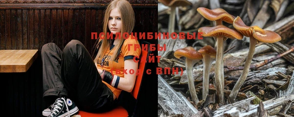 амф Арсеньев