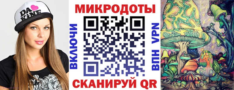 Галлюциногенные грибы Psilocybe Колпашево
