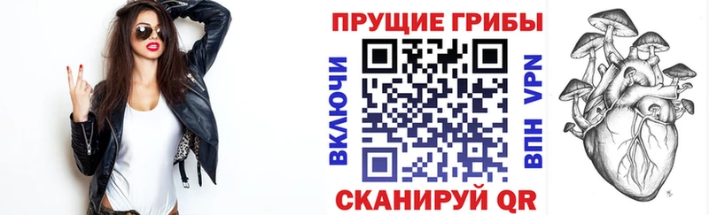 Псилоцибиновые грибы GOLDEN TEACHER  нарко площадка состав  Колпашево 